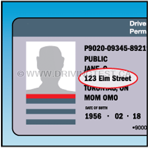 Test 1 - How long do you have to have an endorsement placed on your license if you change your name or address to something different?