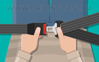 What area of the body should the lap part of your seatbelt be tight across? - What area of the body should the lap part of your seatbelt be tight across?